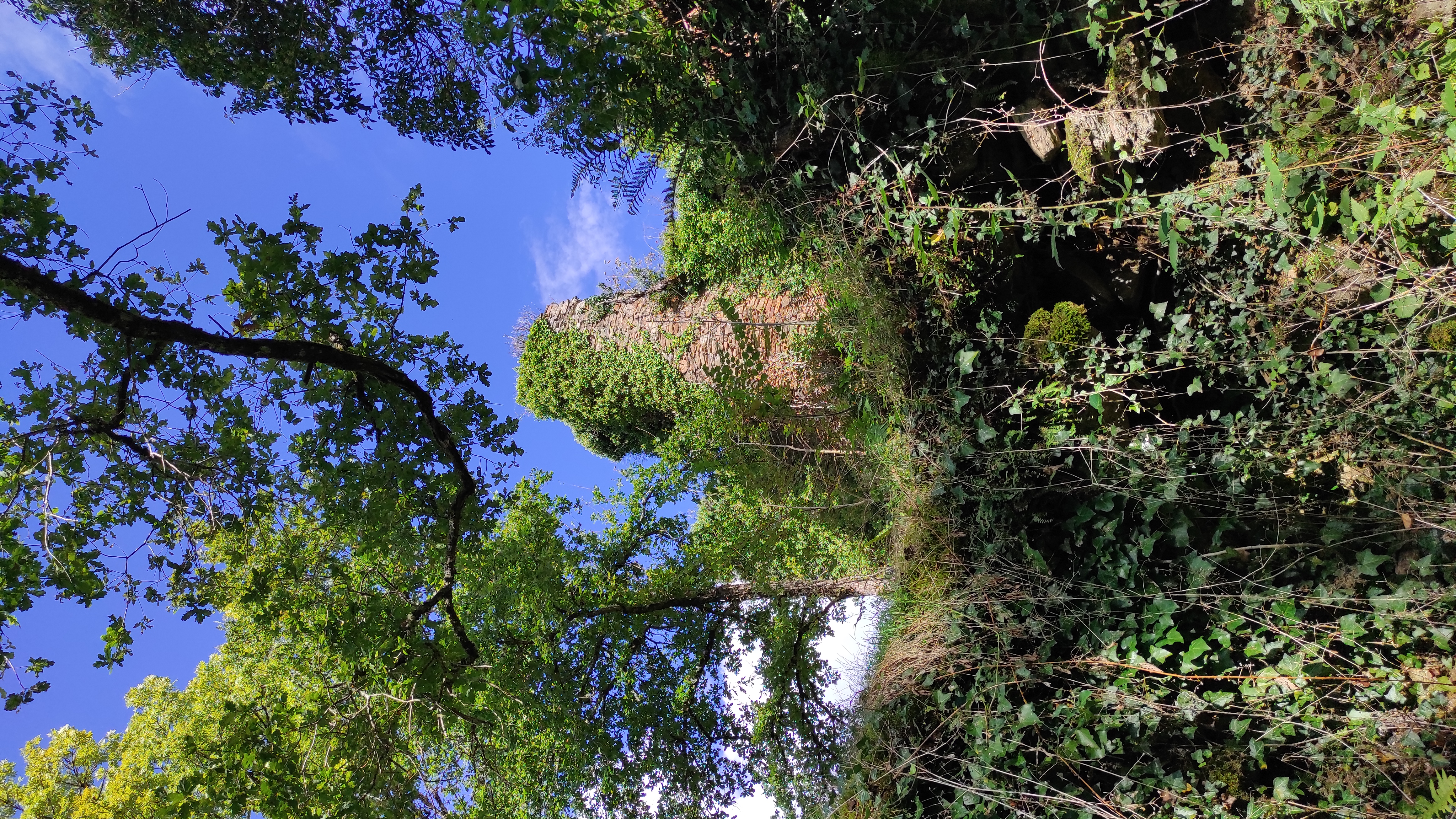 Couverture médiatique du château