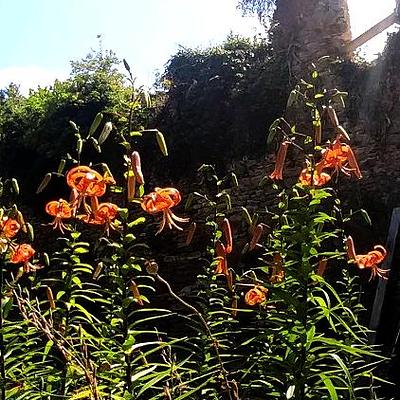 les travaux en été 2023