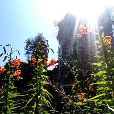 les travaux en été 2023