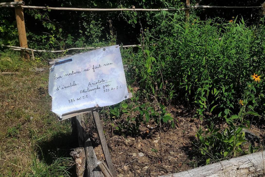 Les jardins du château