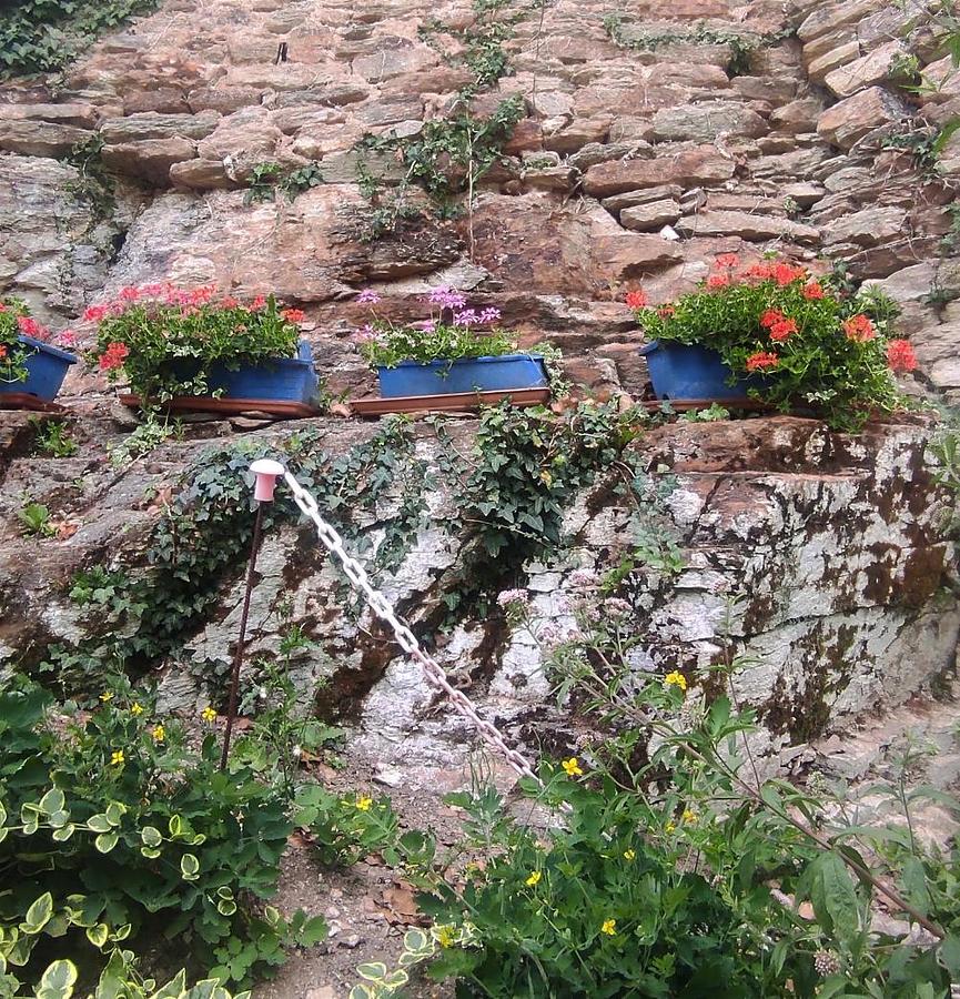 Les jardins du château