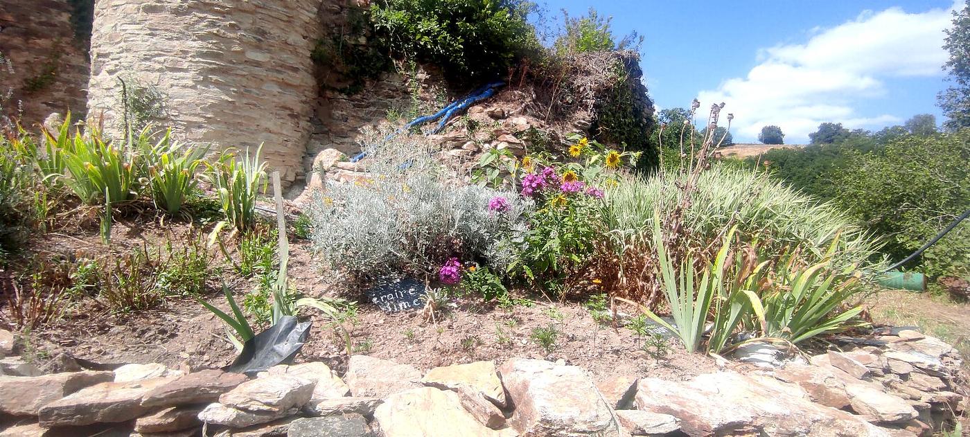 Les jardins du château