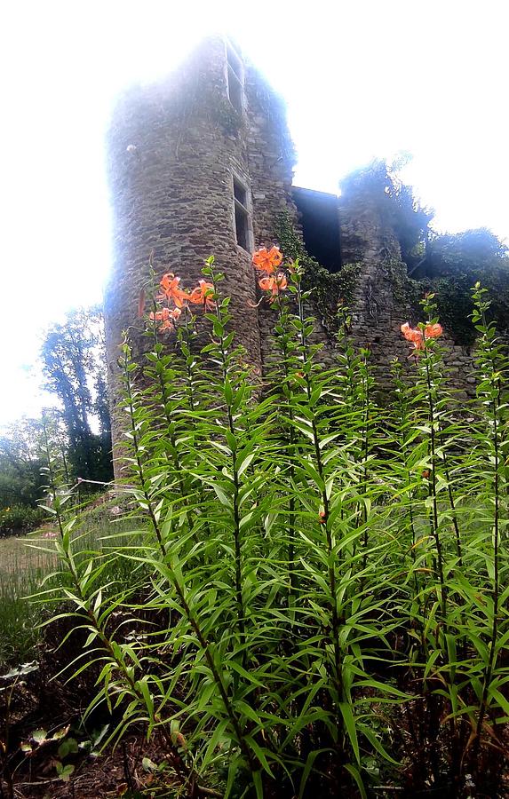 Les jardins du château