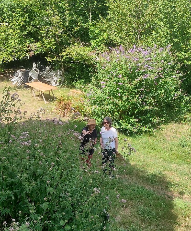 Les jardins du château