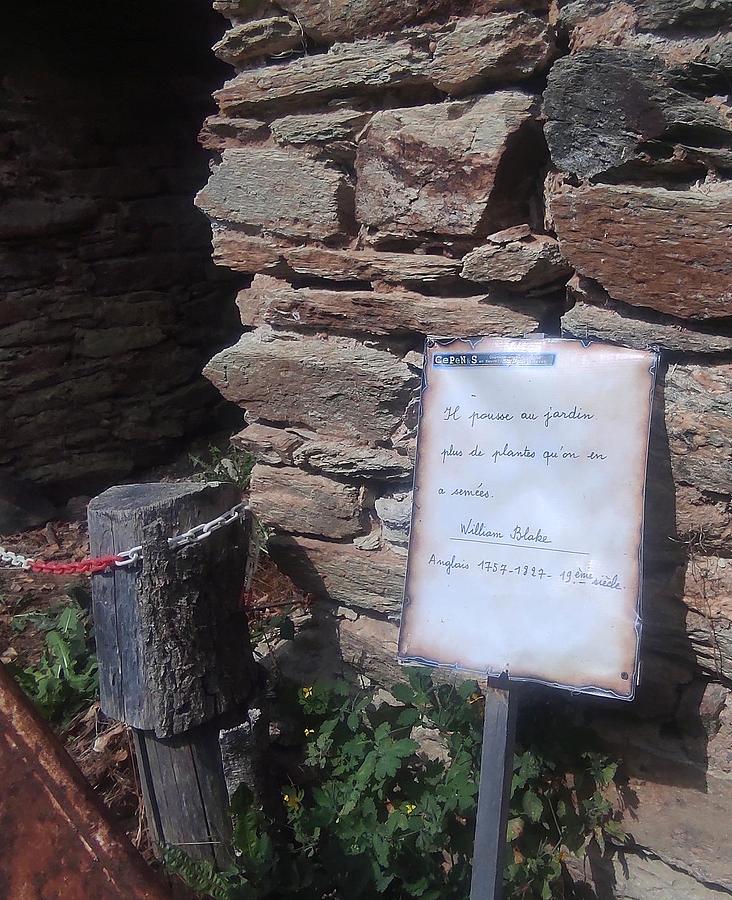 Les jardins du château