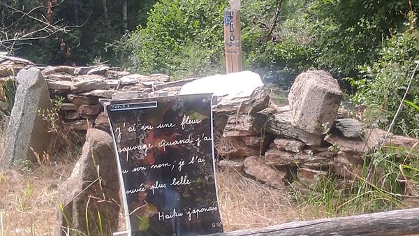 Les jardins du château