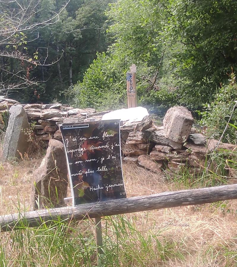 Les jardins du château