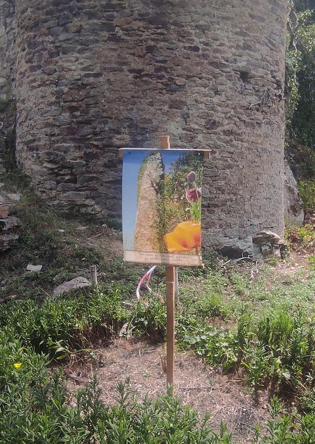 Les jardins du château