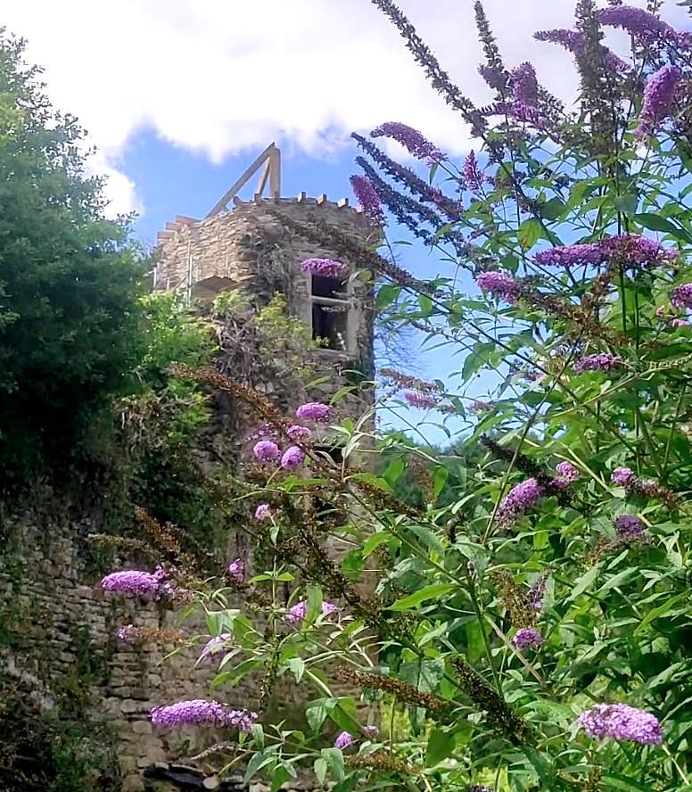 Les jardins du château