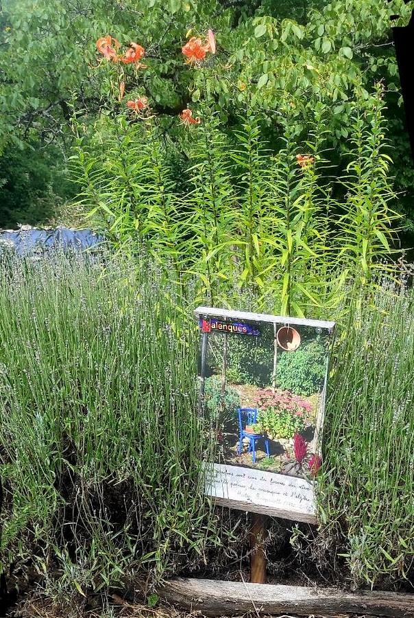 Les jardins du château