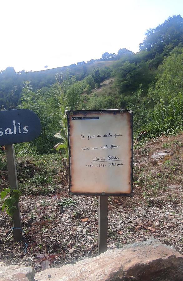 Les jardins du château