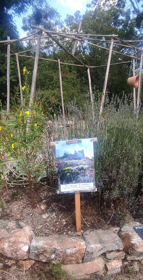 Les jardins du château