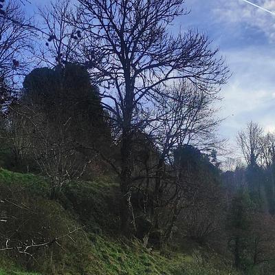 Rayons de soleil en janvier 2023