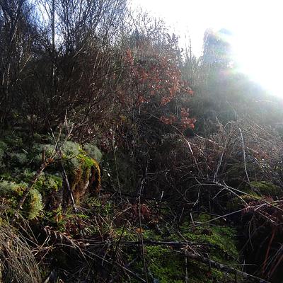 Rayons de soleil en janvier 2023