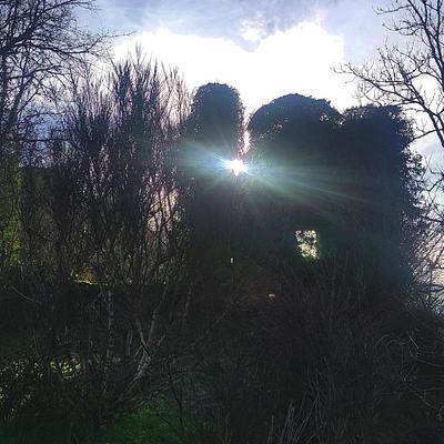 Rayons de soleil en janvier 2023