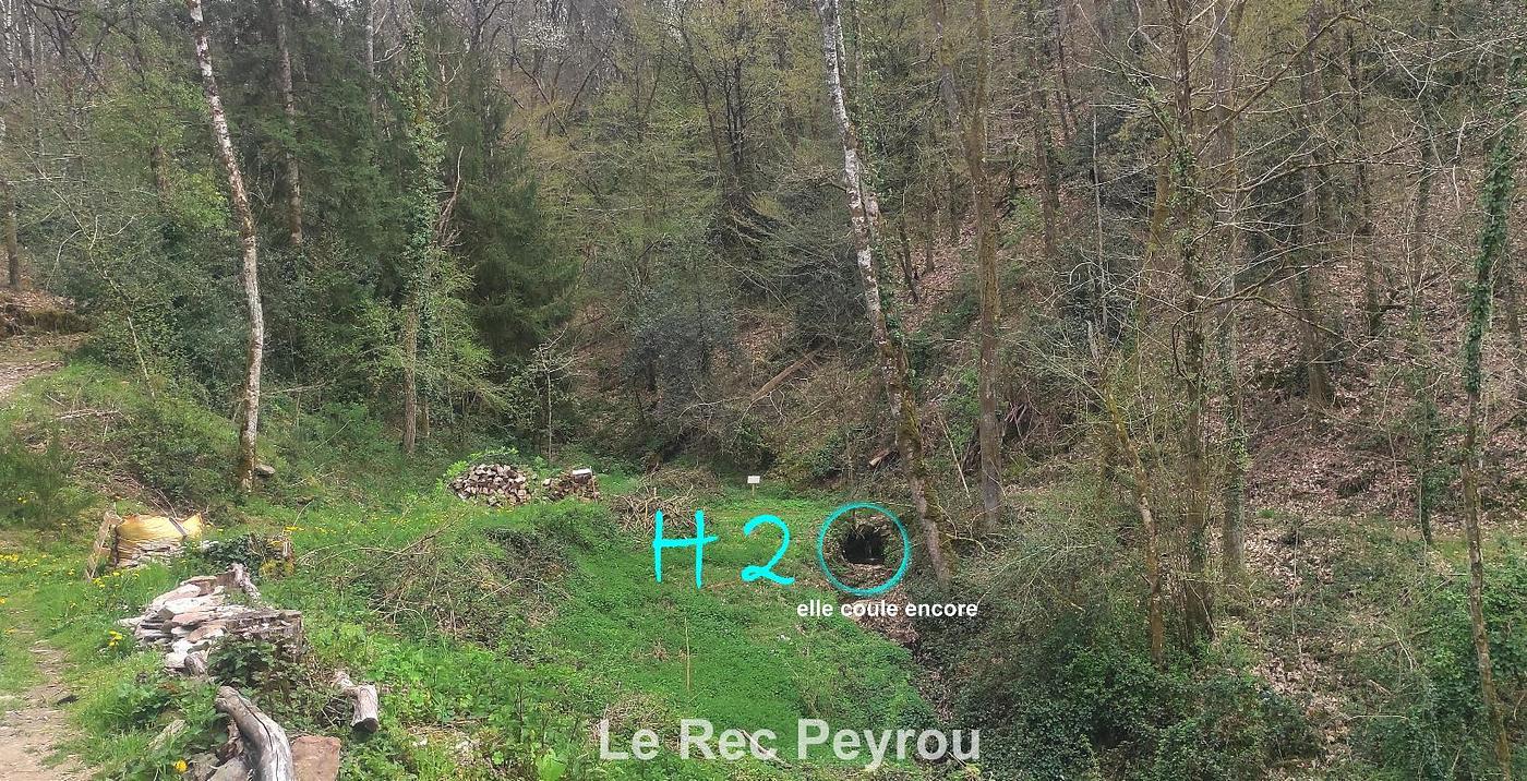 Rénovations sol de la salle des gardes