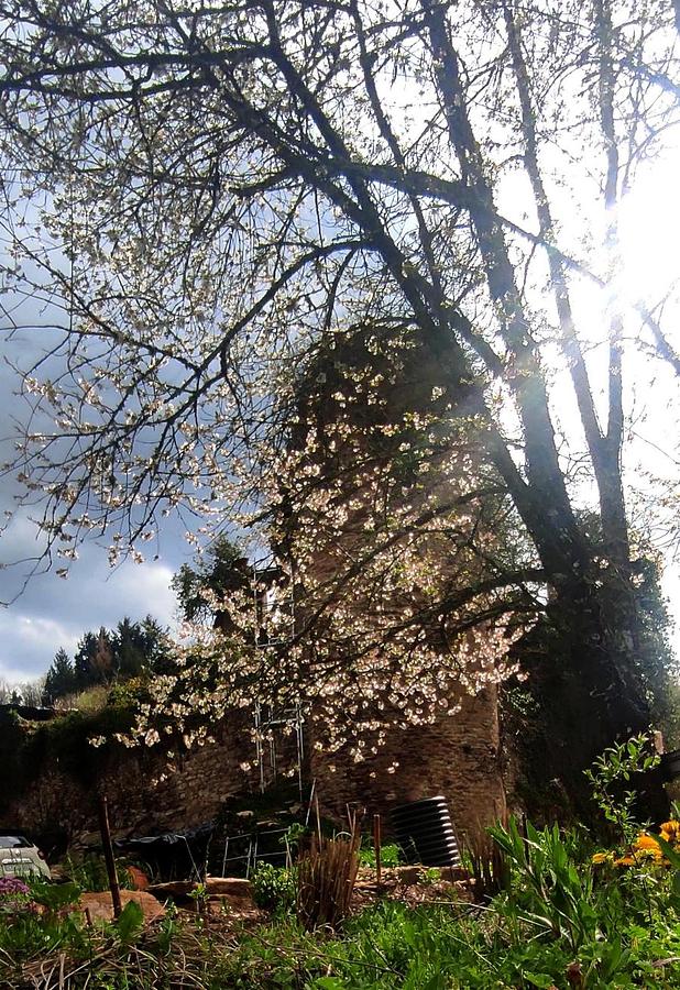 Rénovations sol de la salle des gardes