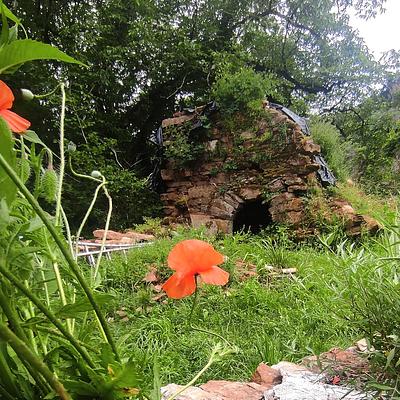 Les fleurs de Jalenques