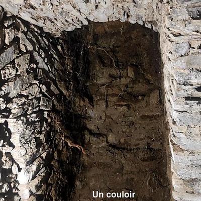 les travaux en été 2023